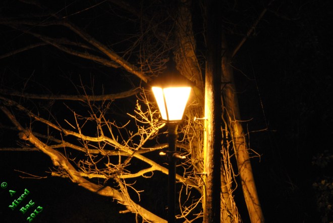 169-08-august-21st-2016