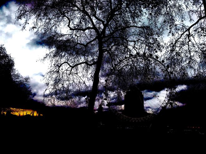 London tree contrast