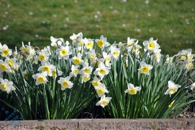 174-09-september-25th-2016