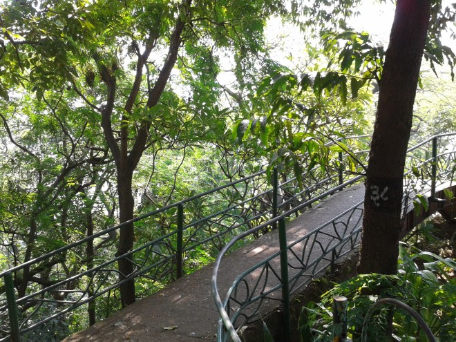 2014-10-19 11.40.12.jpg