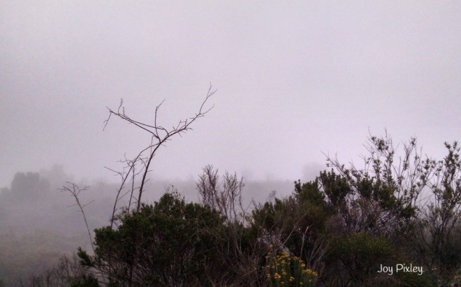 photo-20161219154654337