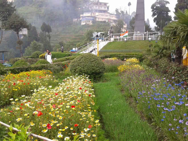 Darjeeling fl