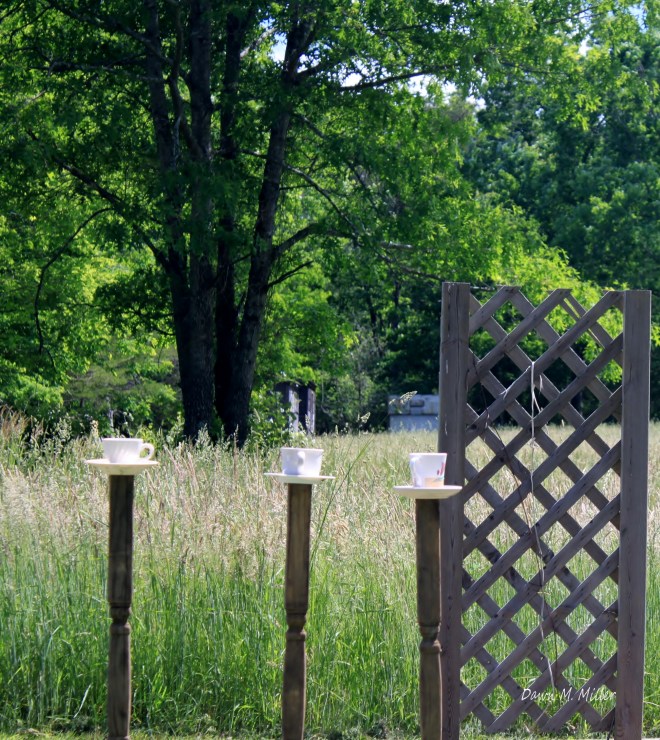 13-dawn-miller-27-august-2017