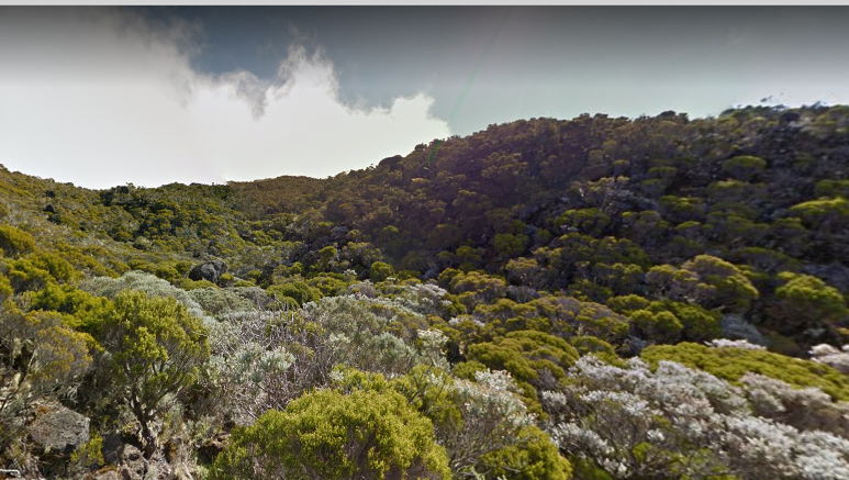 Screen Shot 2017-10-17 at 7.45.15 pm